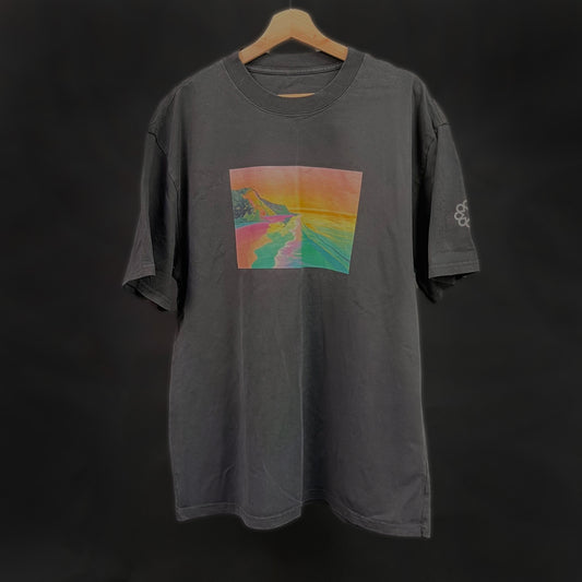 Liquid Collective beach oversized faded t-shirt